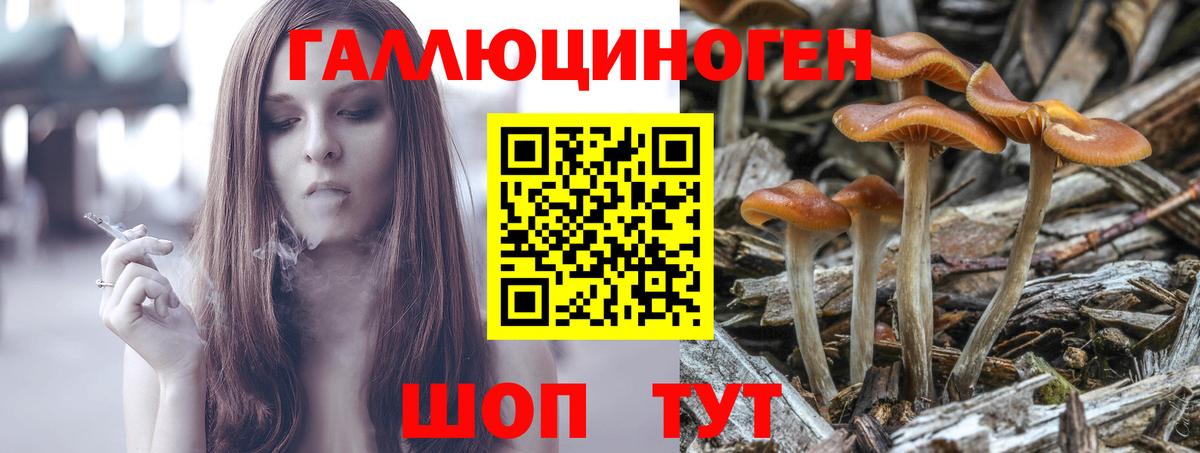 Кудымкар  Галлюциногенные грибы Psilocybine cubensis  Галлюциногенные грибы Psilocybe  хочу   Вход с VPN 